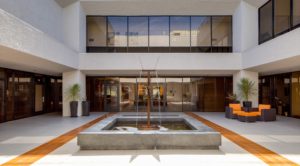 Luminous Courtyard - CARR Commercial Real Estate Brokers